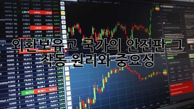 외환보유고: 국가의 안전판, 그 작동 원리와 중요성