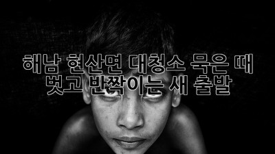 해남 현산면 대청소🧹✨: 묵은 때 벗고 🏡반짝이는 새 출발!